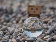 8th Apr 2019 - Danbo loved 'the beach' at Bluewater