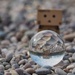 Danbo loved 'the beach' at Bluewater by bizziebeeme