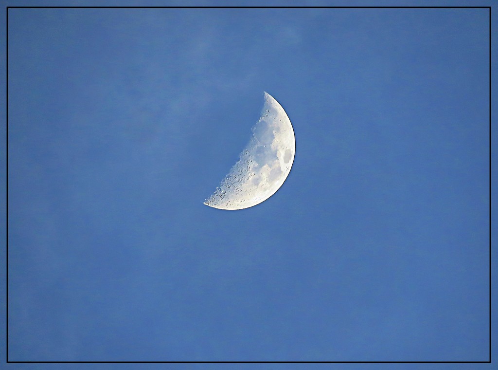 Half Moon on April 11th by olivetreeann