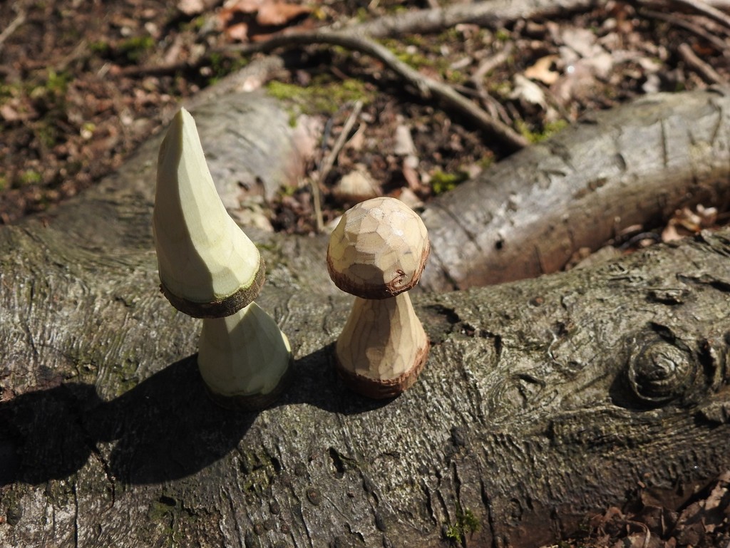 Mushrooms by roachling