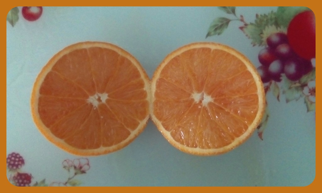  An Orange by grace55