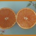  An Orange by grace55