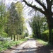 Country Lane by fishers