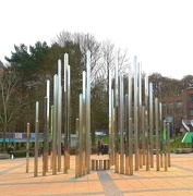 6th Mar 2019 - Forest of light at Keele