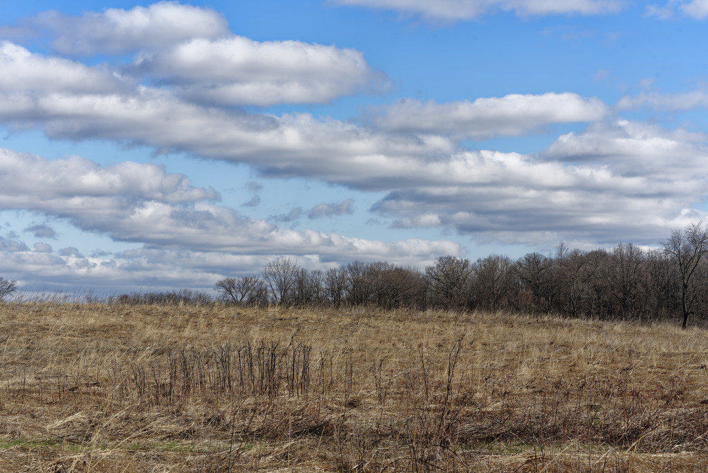 prairie landscape by rminer