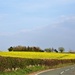 Yellow fields  by beryl