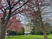 12th Apr 2019 - Richmond Hill university. 