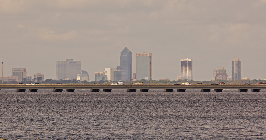 Jacksonville Skyline! by rickster549