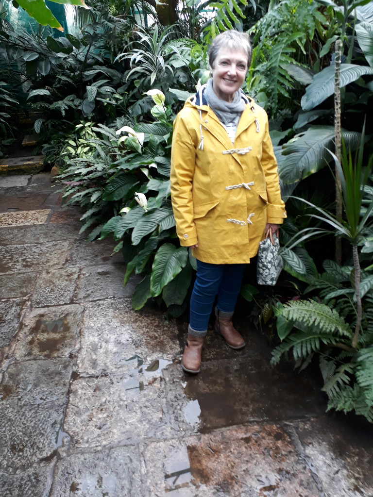 More at the Winter Gardens  by sarah19
