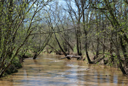 17th Apr 2019 - Fulfer Creek