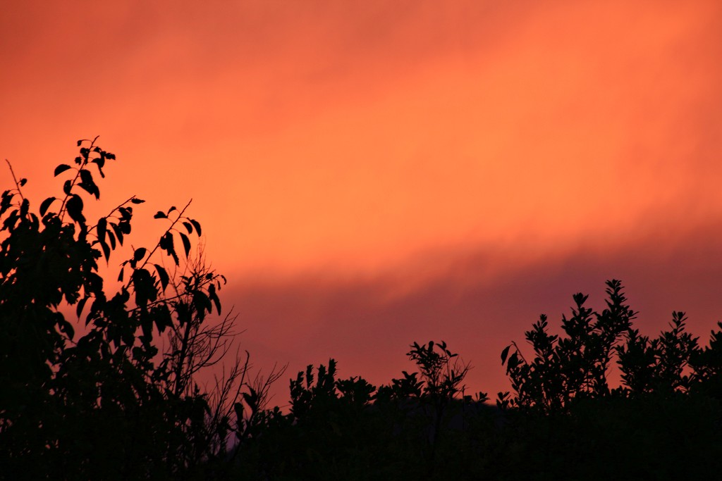 Clouds on fire by kiwinanna