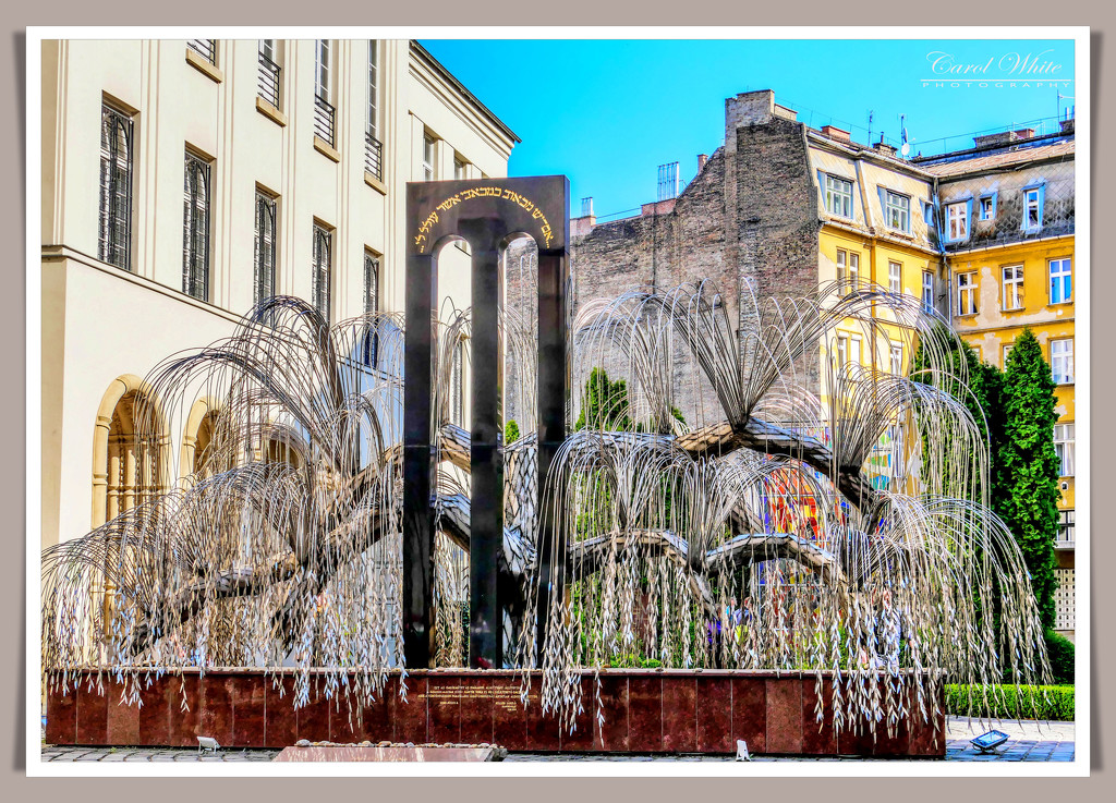 Weeping Willow,The Great Synagogue,Budapest by carolmw