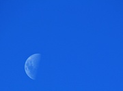 12th Apr 2019 - Once in a blue moon... 