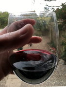 12th Apr 2019 - Reflections in a glass of wine
