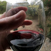 Reflections in a glass of wine by jeff