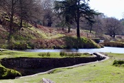 13th Apr 2019 - Bradgate