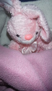 14th Apr 2019 - Pink Bunny for Sunday