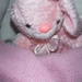 Pink Bunny for Sunday by spanishliz