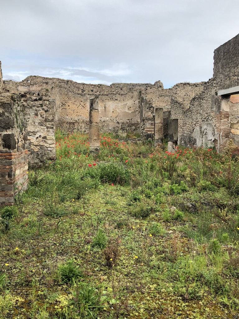 Pompeii by graceratliff