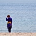 Janet Looking for Seaglass by radiodan