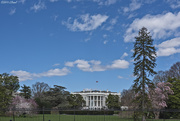 31st Mar 2019 - White House