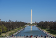 1st Apr 2019 - Washington Monument