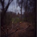 Spring Is Comming by ramr