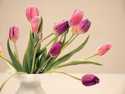 14th Apr 2019 - Vase of Tulips