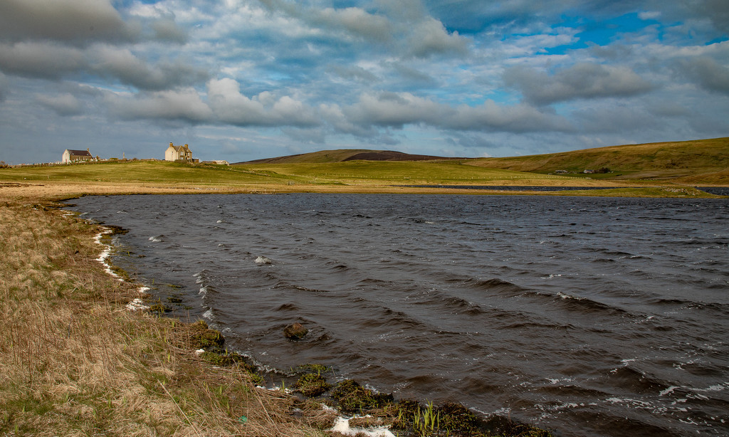 Tingwall Loch by lifeat60degrees