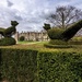Peacock Topiary by rjb71