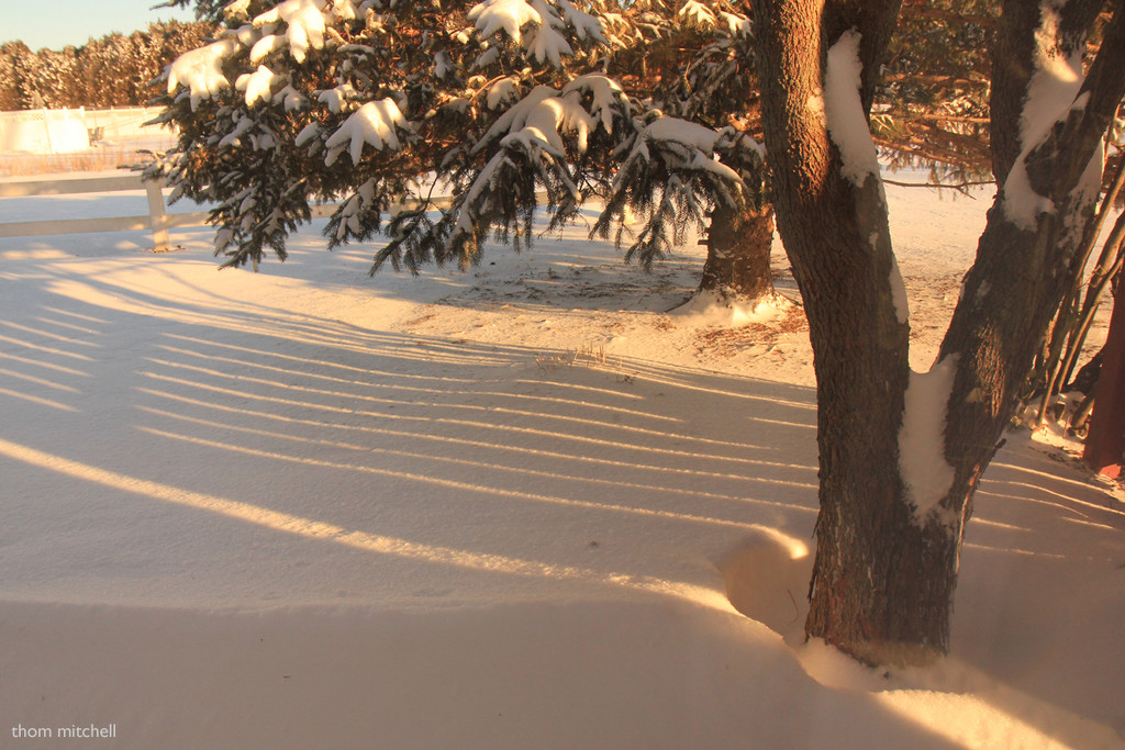 Long shadows in drifted snow  by rhoing