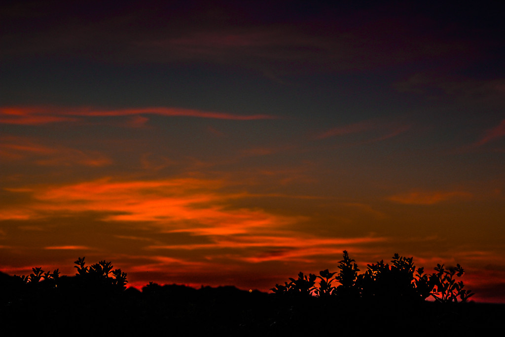 Texas sunset by judyc57
