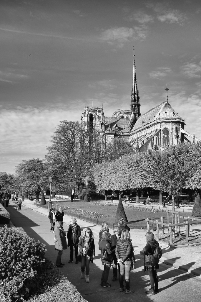 In Honour of Notre-Dame de Paris by jamibann