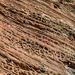 Patterns in the Pilliga sandstone by jeneurell