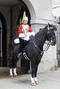 16th Apr 2019 - Horse Guards Parade