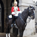 Horse Guards Parade by peadar