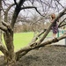 Tree climbing  by mdoelger