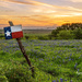 Good Morning, Texas! by lynne5477