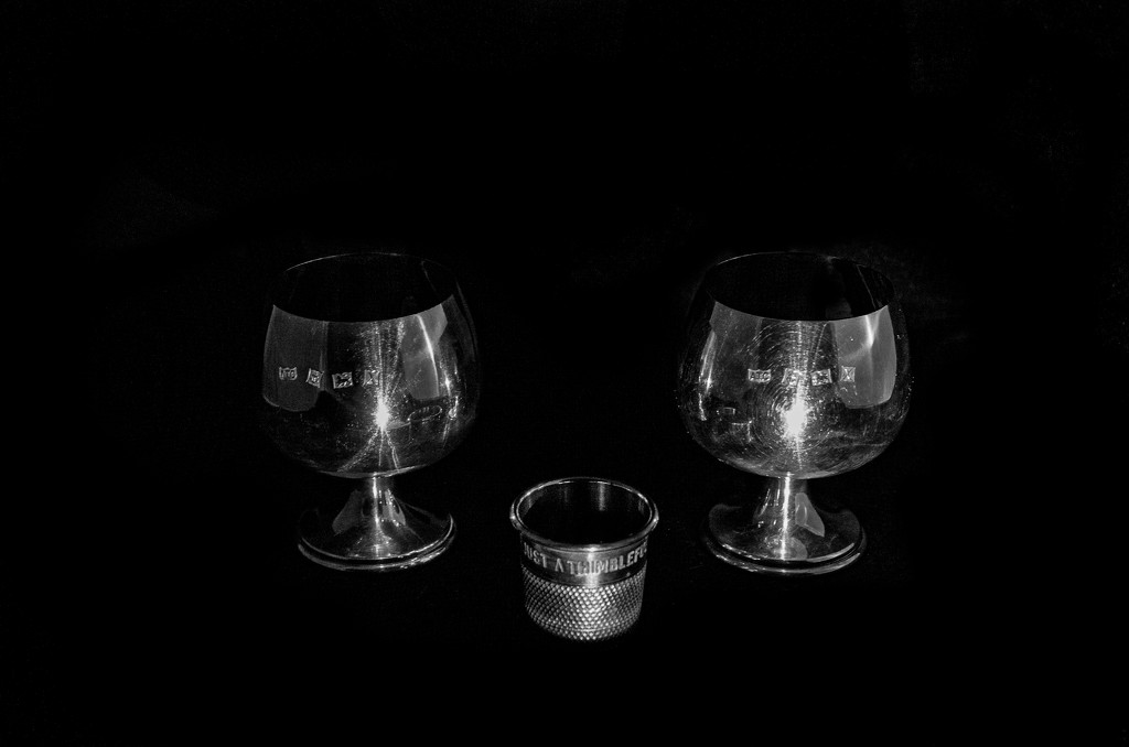 30 Shots for April - Day 16: Brandy Goblets + 1 by vignouse