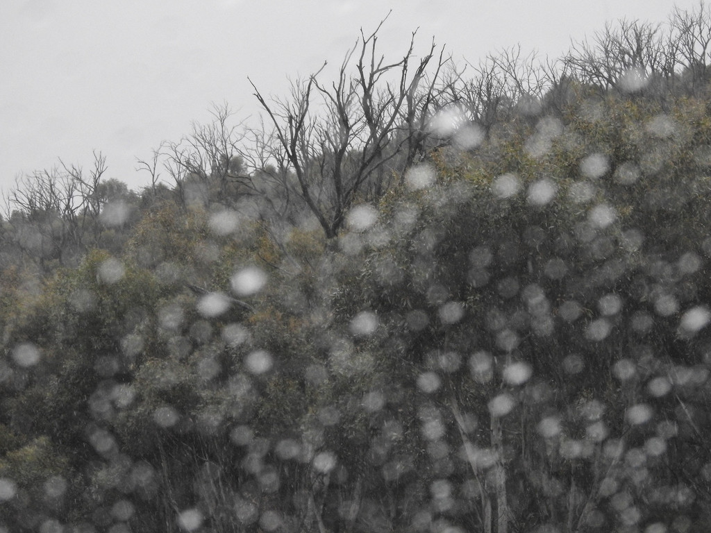 Through the windscreen by jeneurell