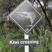 One of my favourites!!   Kiwi  crossing by 777margo