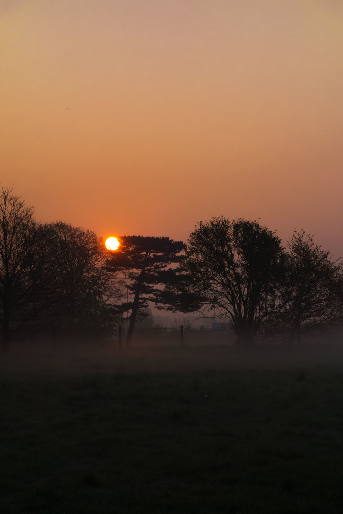 Misty sunrise by rumpelstiltskin