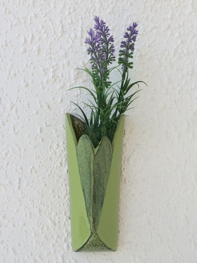 Lavender by lmsa