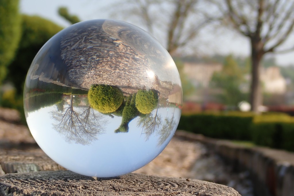 Lensball for 30 days by bizziebeeme