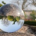 Lensball for 30 days by bizziebeeme
