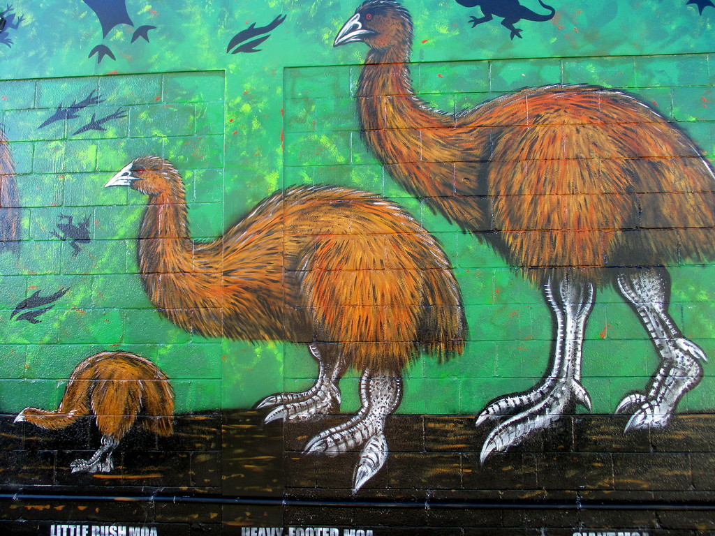 Moa Moa