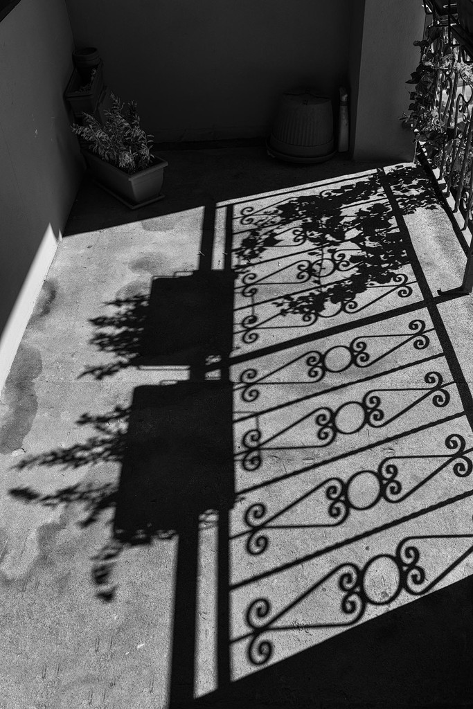Shadows on the Veranda by jyokota