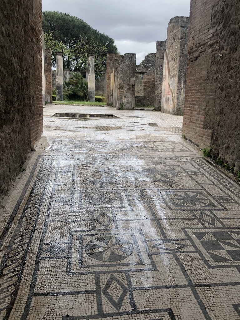Pompeii mosaic by graceratliff