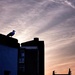 Seagull silhouette by 4rky