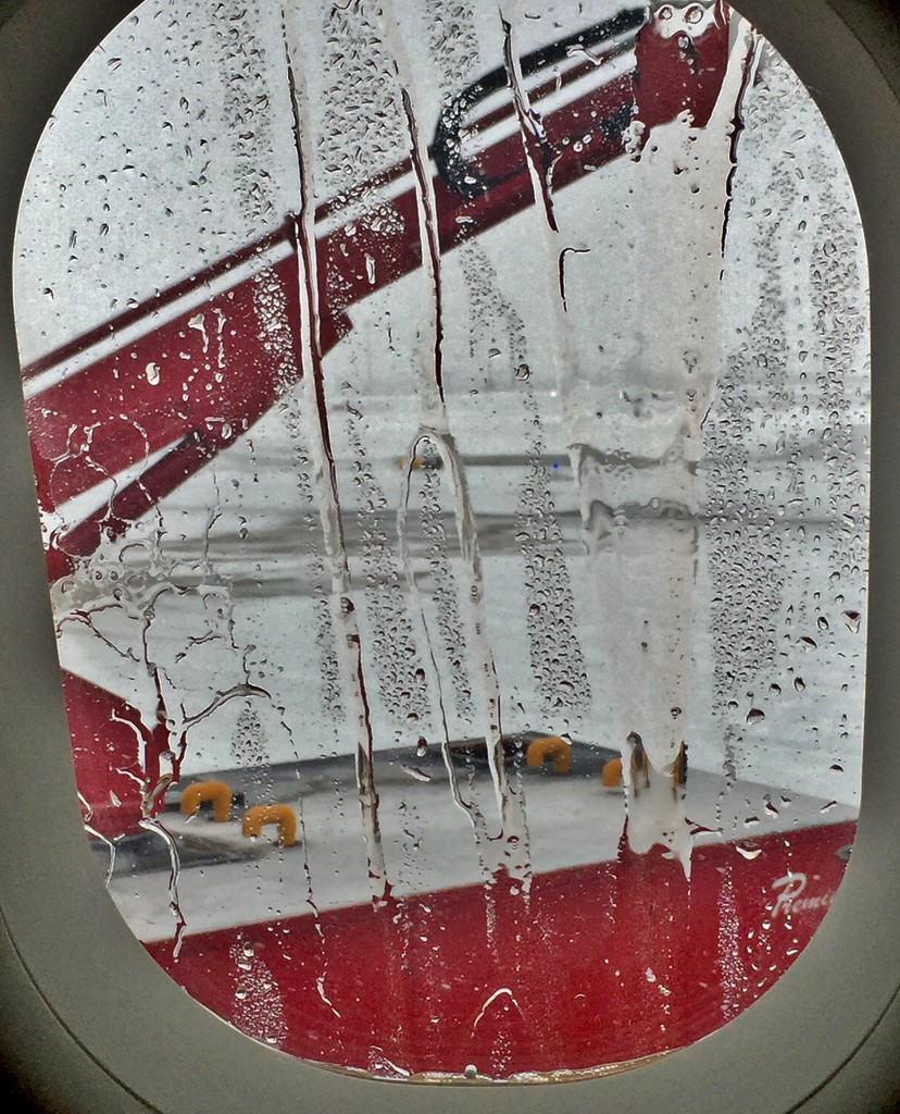 De-icing the Plane by lynnz